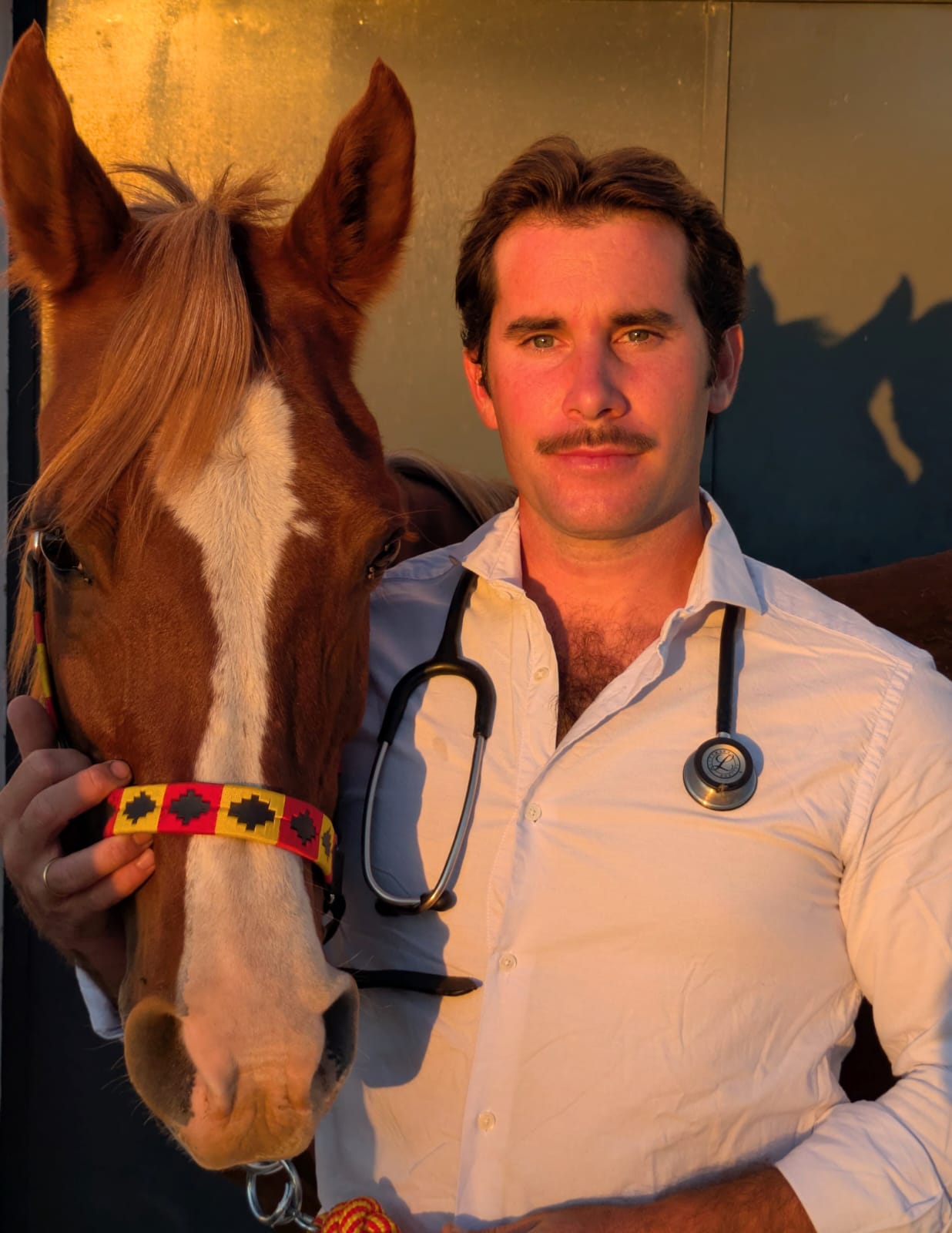 Veterinario equino junto a un caballo durante la presentación de Guzvet Clínica Equina en Sevilla.